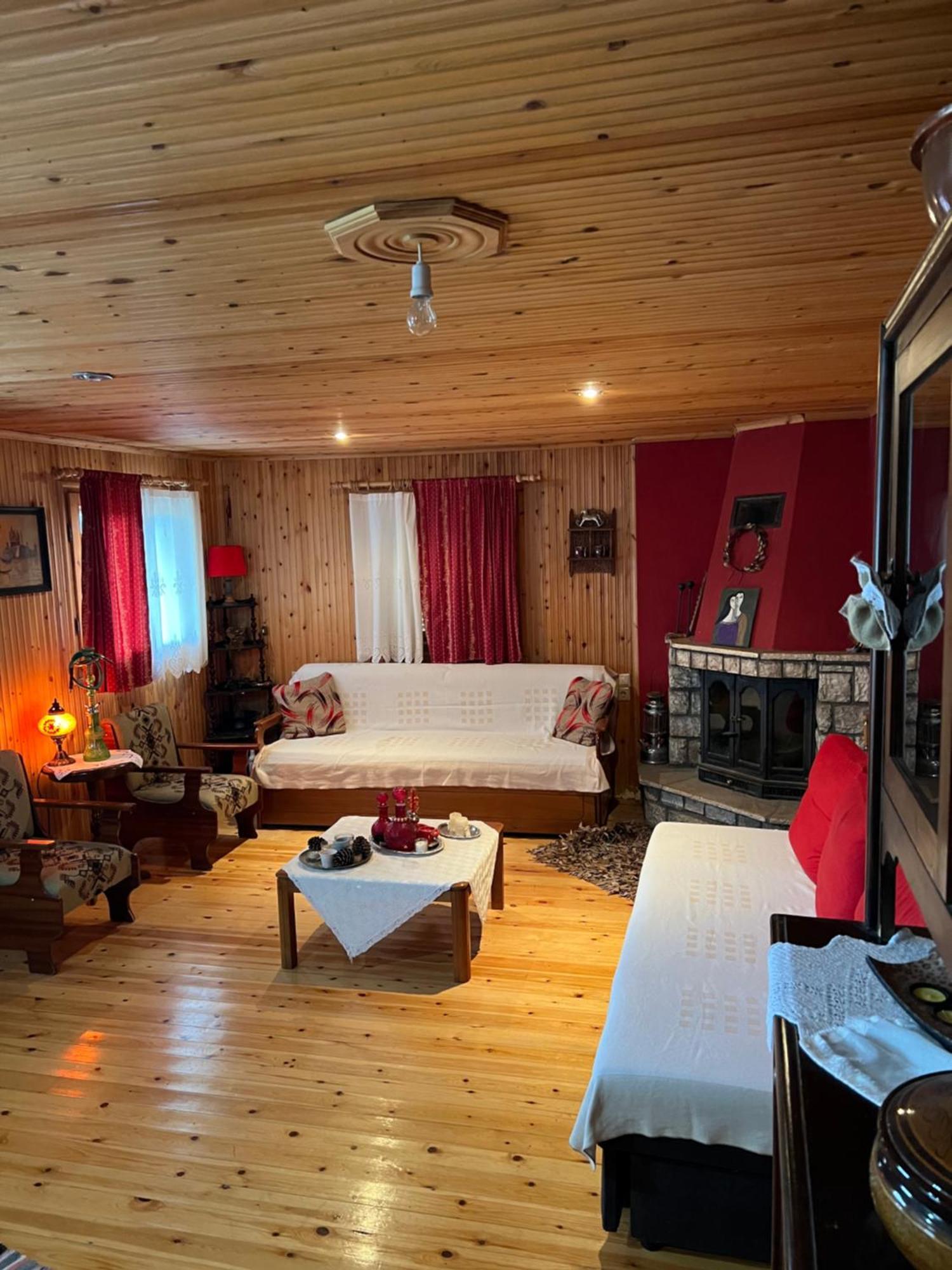 Traditional Wooden Apartment Koutsodímos 外观 照片