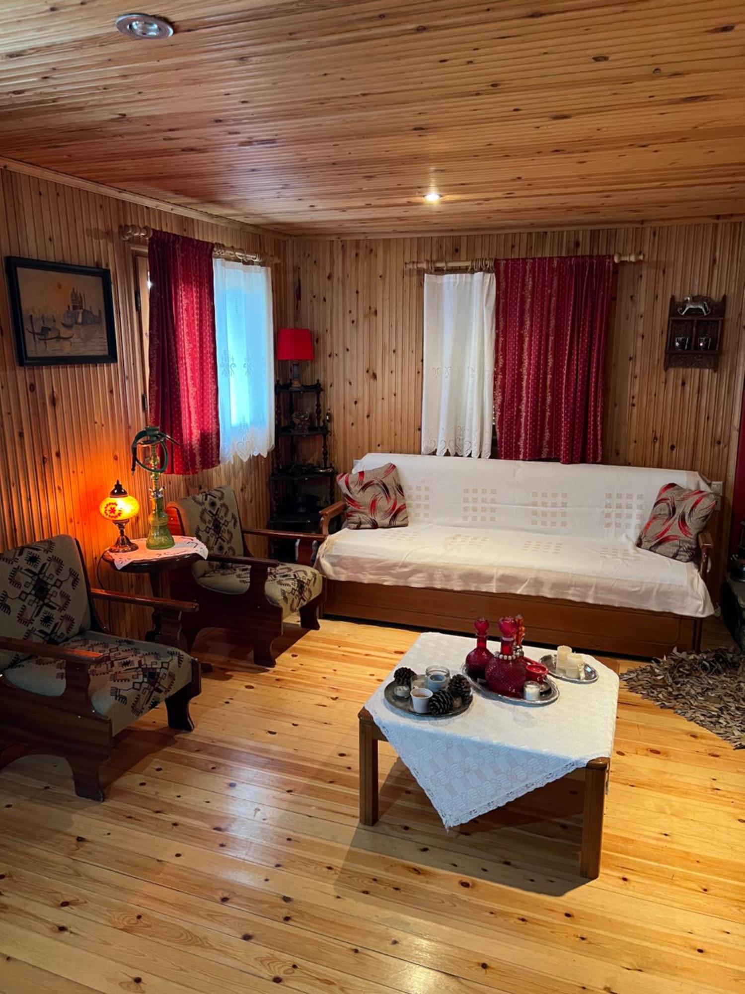 Traditional Wooden Apartment Koutsodímos 外观 照片