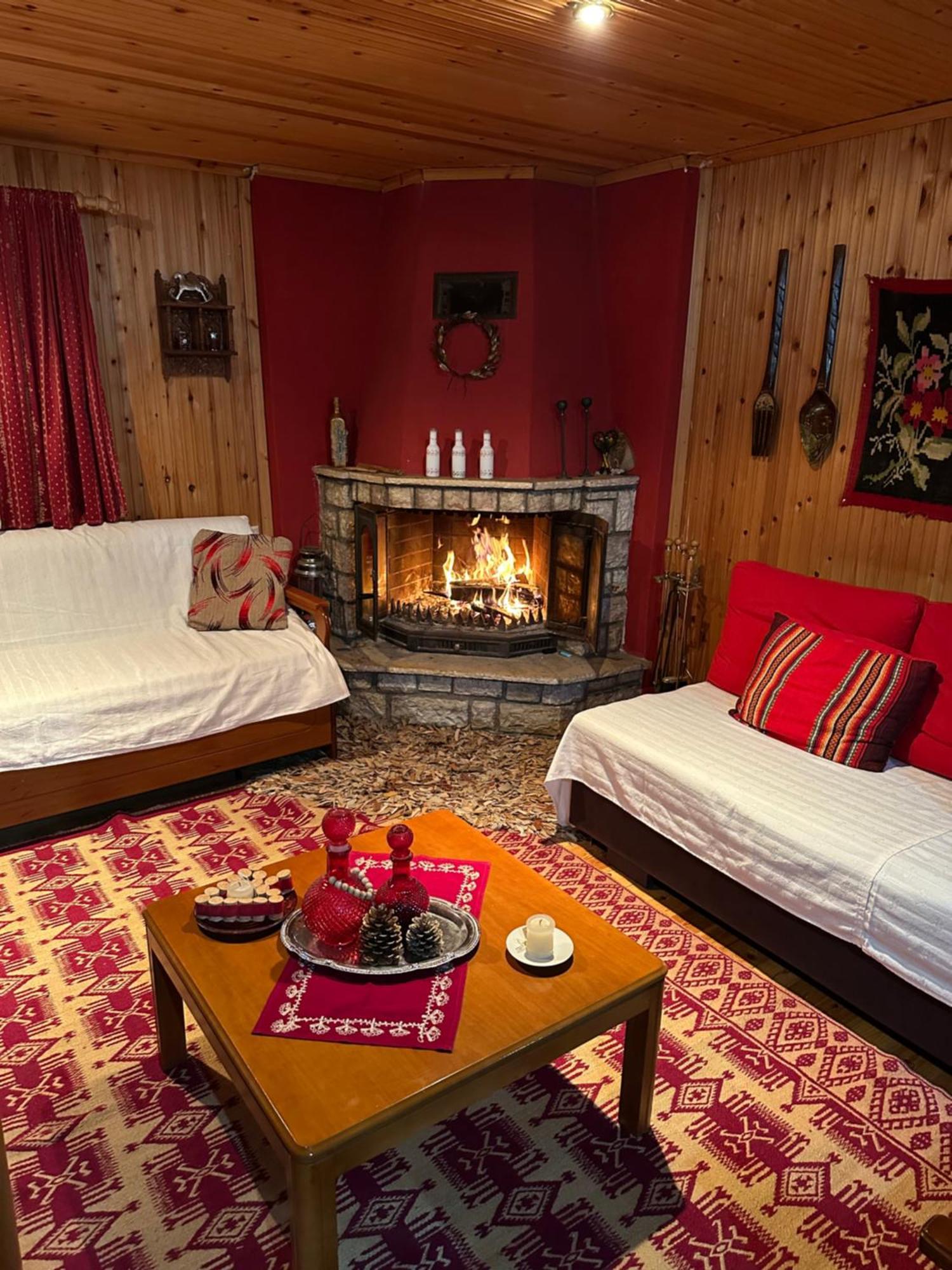 Traditional Wooden Apartment Koutsodímos 外观 照片